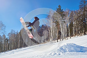 Freestyle Snowboarding