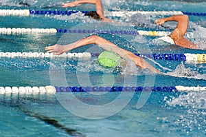 Freestyle swimmers in a close race