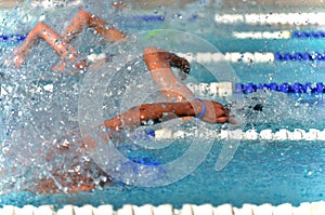 Freestyle swimmers in a close race at a swim meet