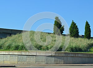 Freeway plantings low water plants