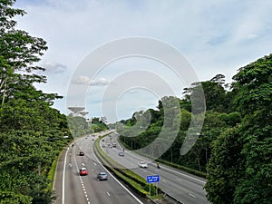 Freeways in Singapore Overlooking Supertrees