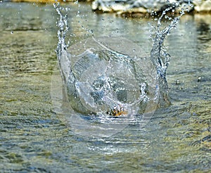 A  freez shot of a stone getting splashed in water
