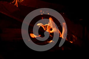 Freeze frame of burning wood, fire crackles and live coals