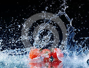 freeze motion of cherry tomatoes in water splash on black background