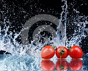 freeze motion of cherry tomatoes in water splash on black background