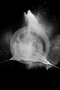 Freeze motion of white dust particles splash on black background.White powder explosion clouds