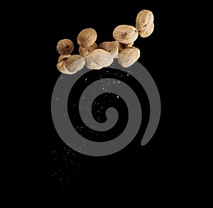 Freeze motion of whole nutmeg spice. Isolated on black background.