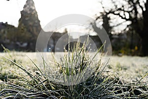 Freezed grass with hoarfrost in foreground of a field. Rural scene in background
