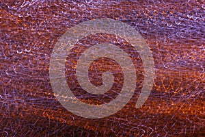 Freezelight background