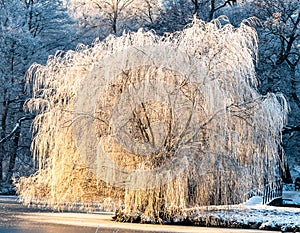 Freezing and cold winter in Denmark