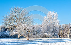 Freezing and cold winter in Denmark