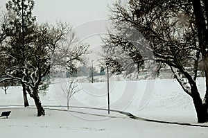 FREEZING COLD WINTER IN LEWISTON VALLEY IDAHO USA