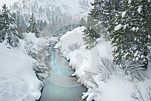 A Freezing Creek