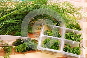 Freezing the dill for winter