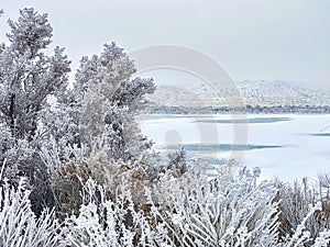 Freezing Fog and Hoarfrost