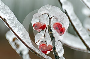 Freezing rain