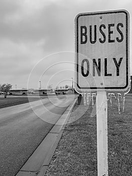 Freezing rain causing a buildup of ice on a bus sign outside a school