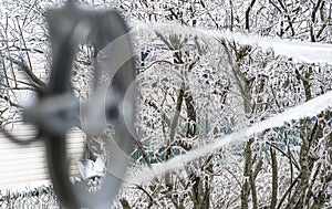 Freezing rain on tree branches in Montreal and several other southwestern regions in the province of Quebec