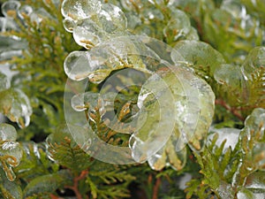 Freezing rain in winter. Anomalous natural phenomena.