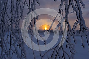 Freezing winter sunrise with selective focus