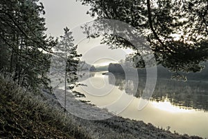 Freezy morning on the river bank