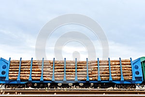freight cars loaded with logs on railway tracks. transportation of felled forest.