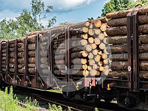 Freight cars loaded with wood logs on railway tracks