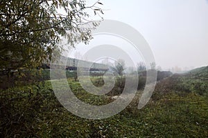 Freight cars passing on a railroad track next to a grove on a foggy day in autumn