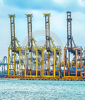 Freight cranes in commercial port