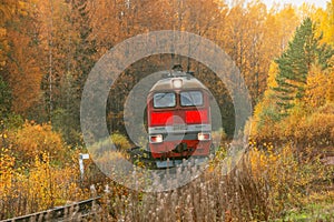 Freight diesel locomotive moves in the forest