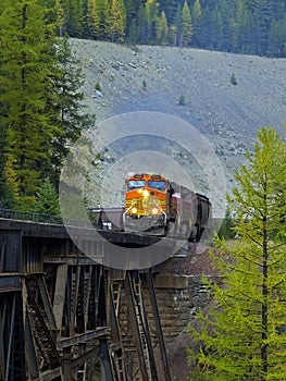 Freight Highup on Trestle