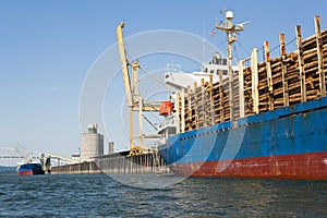 Freight Ship loaded with Logs