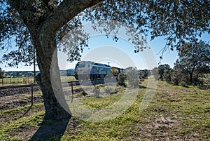 Freight train crossing the countryside