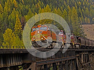 Freight Train Crossing Trestle