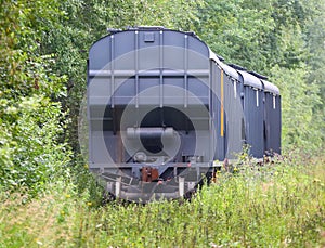 Freight train on the old railway in the forest