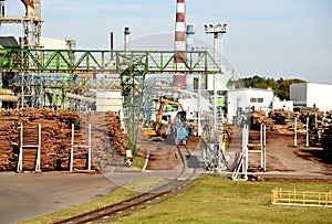 Freight train unloads round timber at a wood processing plant. Excavator with log grab crane unloads timber from freight car.