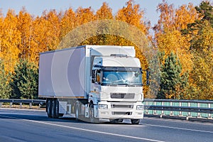 Freight truck moves on the road.