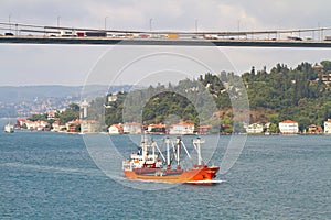 Freighter cruising under the bridge