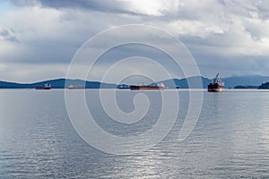 Freighters in the harbour at Ladysmith