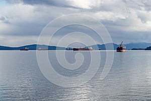 Freighters in the harbour at Ladysmith photo