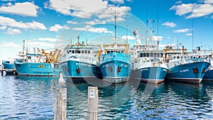Fremantle fishing fleet, Fremantle Boat Harbour Western Australia photo