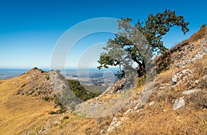 Fremont Peak State Park in California photo