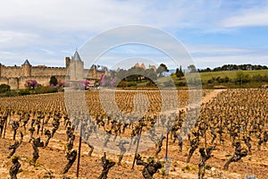 French ancient town Carcassonne panoramic view. Old castle with high stone walls. Famous tourist destionation in France, South photo