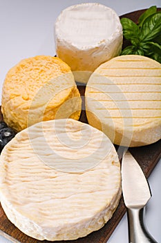 French AOC soft cow cheeses, crumbly Langres with washed rind st