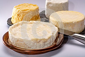 French AOC soft cow cheeses, crumbly Langres with washed rind st photo