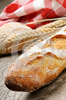 French baguette photo