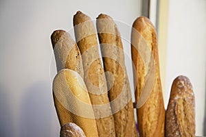 French baguette bread