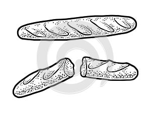 french baguette sketch vector illustration