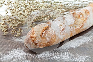 French baquette bread