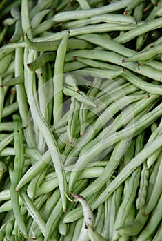 French Beans
